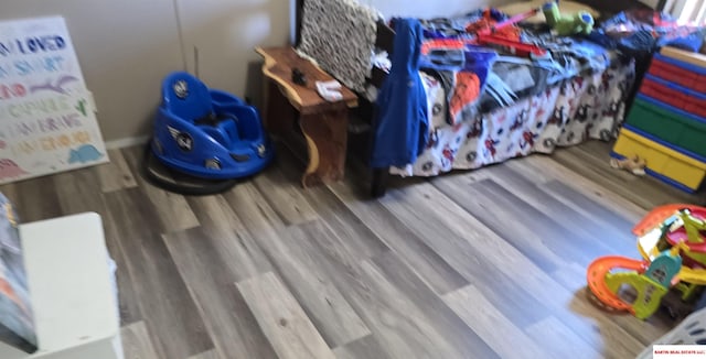 interior details featuring wood finished floors