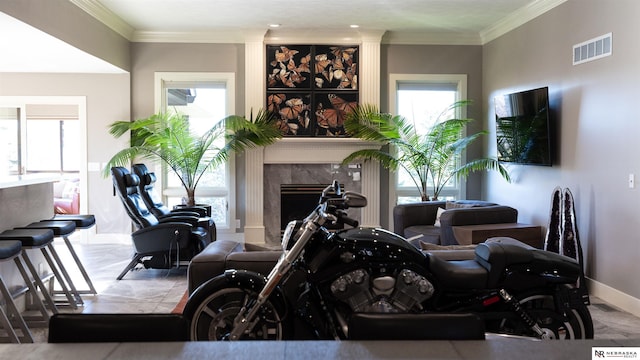 living area featuring baseboards, ornamental molding, and a premium fireplace