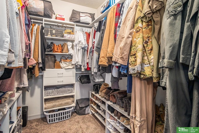 walk in closet with carpet flooring