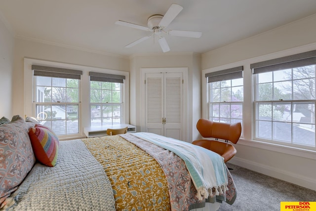 1638 N Nye Ave, Fremont, NE 68025 - carpeted bedroom with ornamental molding, a closet, and multiple windows