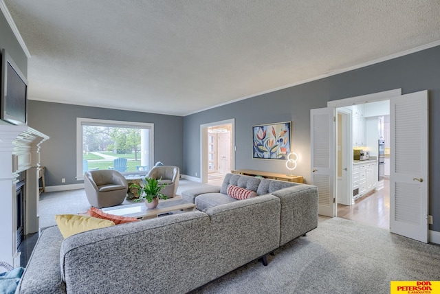 1638 N Nye Ave, Fremont, NE 68025 - living room with a fireplace, light colored carpet, and ornamental molding