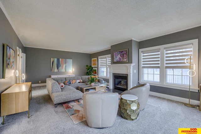 1638 N Nye Ave, Fremont, NE 68025 - living area featuring carpet flooring, a healthy amount of sunlight, and a textured ceiling