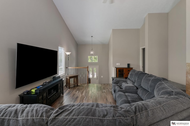 living area featuring high vaulted ceiling and wood finished floors