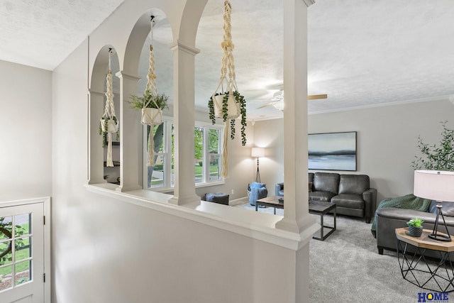 living area with carpet flooring, crown molding, a textured ceiling, and a ceiling fan