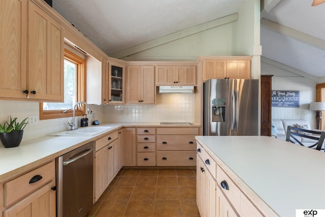 S-1129 Platte Shore Dr, Fremont, NE 68025 - kitchen with stainless steel appliances, light brown cabinetry, a sink, and vaulted ceiling