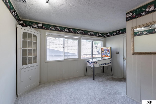 S-1129 Platte Shore Dr, Fremont, NE 68025 - unfurnished office with a textured ceiling, carpet flooring, and wood walls