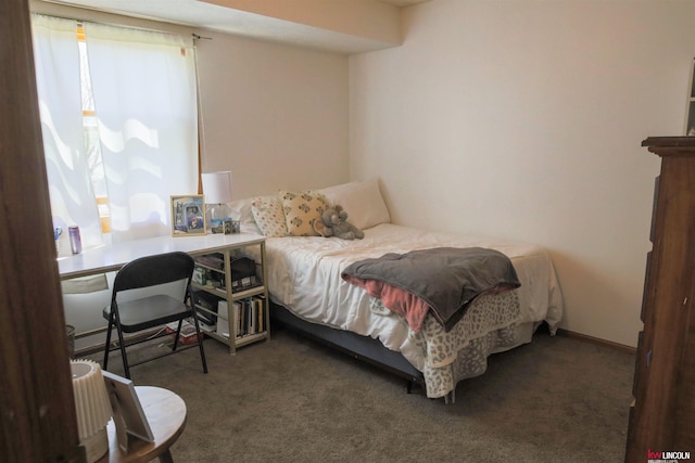 bedroom featuring multiple windows and carpet