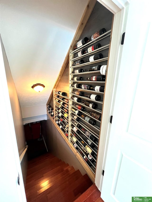wine area featuring dark wood-style flooring