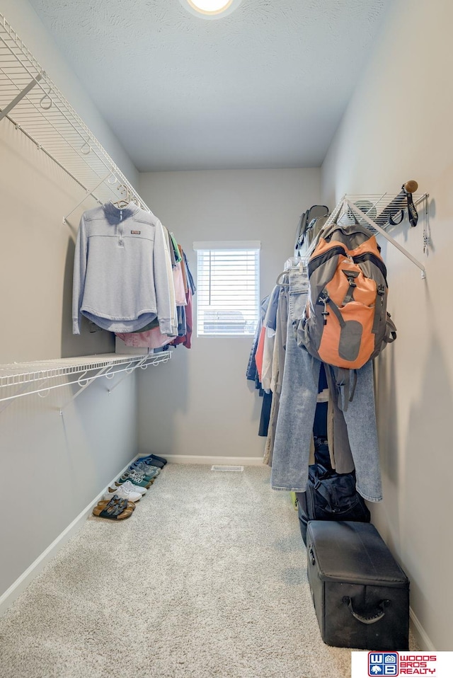 spacious closet featuring carpet