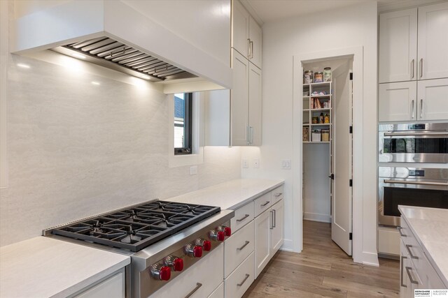 501 S 243rd St, Waterloo, NE 68069 - kitchen with appliances with stainless steel finishes, premium range hood, light countertops, light wood-style floors, and white cabinetry