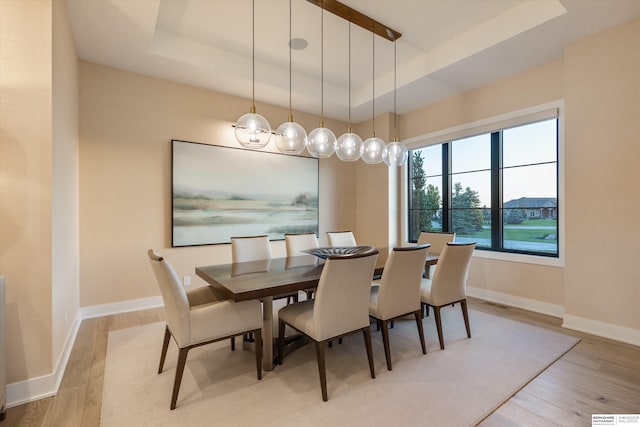 501 S 243rd St, Waterloo, NE 68069 - dining area with a tray ceiling, light wood finished floors, and baseboards