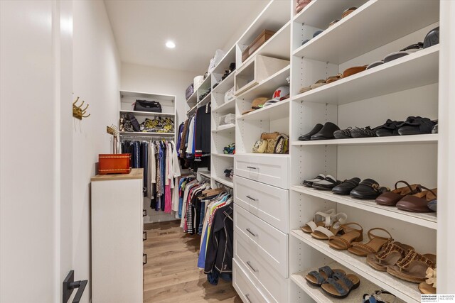 501 S 243rd St, Waterloo, NE 68069 - walk in closet featuring light wood-style flooring