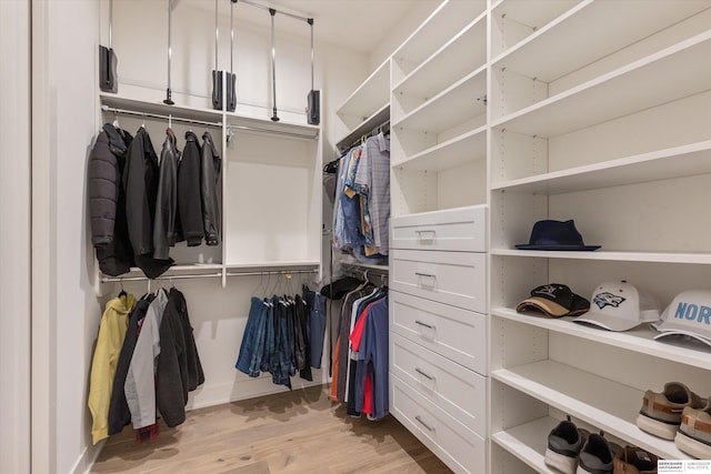 501 S 243rd St, Waterloo, NE 68069 - spacious closet with light wood-style floors