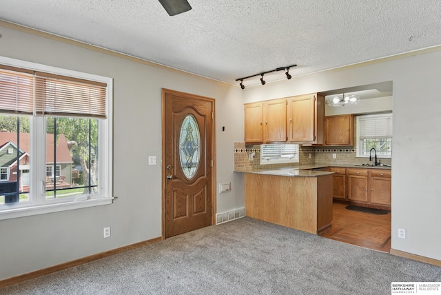 6523 Emmet St, Omaha, NE 68104 - kitchen with a peninsula, a wealth of natural light, a textured ceiling, and visible vents