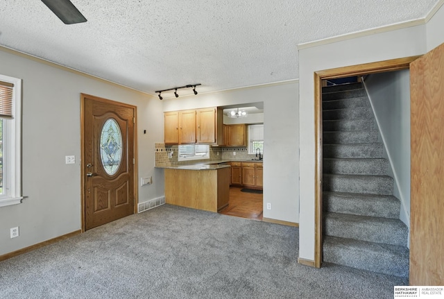 6523 Emmet St, Omaha, NE 68104 - interior space featuring carpet, decorative backsplash, a sink, and plenty of natural light
