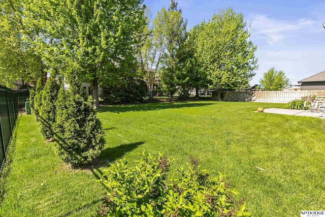 view of yard with a patio area and a fenced backyard