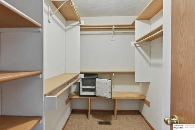 spacious closet with carpet floors