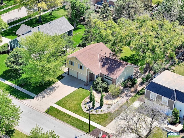 bird's eye view