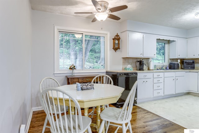 7545 Sherman Dr, Omaha, NE 68134 - kitchen featuring dishwasher, a textured ceiling, a ceiling fan, light countertops, and backsplash
