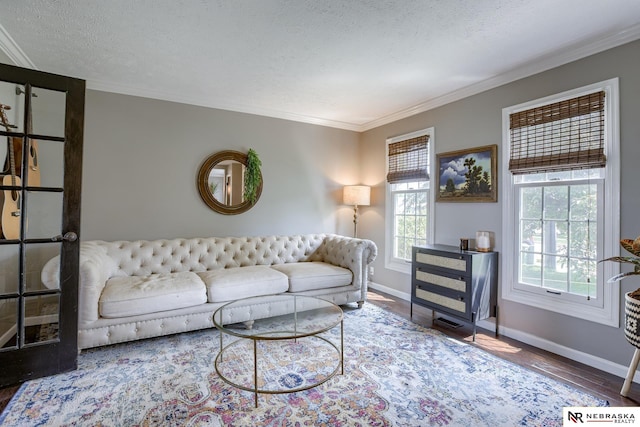 living room featuring ornamental molding, baseboards, wood finished floors, and a textured ceiling