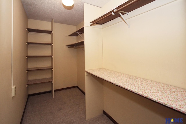 spacious closet with carpet floors