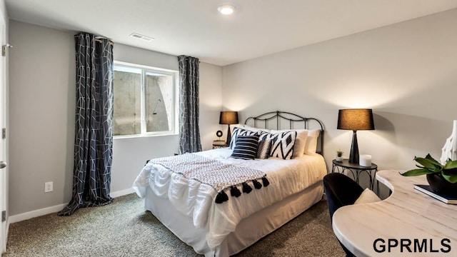 12314 S 204th Ave, Gretna, NE 68028 - carpeted bedroom with baseboards