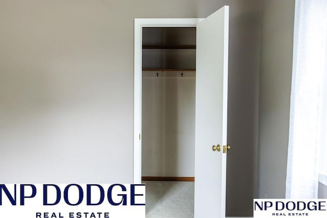 view of closet