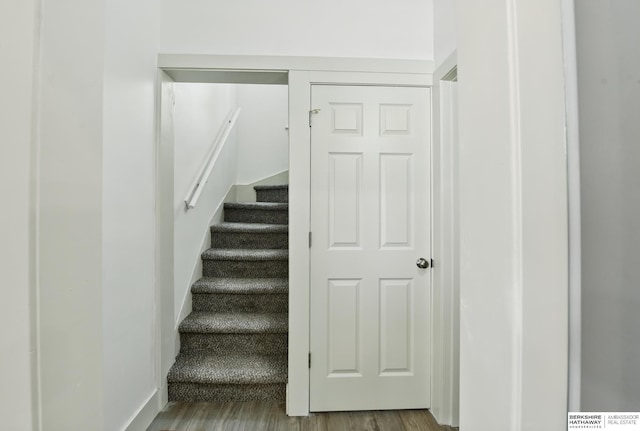 staircase featuring wood finished floors