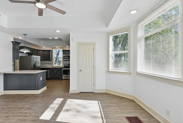 kitchen with a raised ceiling, stainless steel appliances, wood finished floors, and recessed lighting