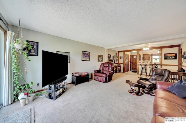 carpeted living area with a textured ceiling