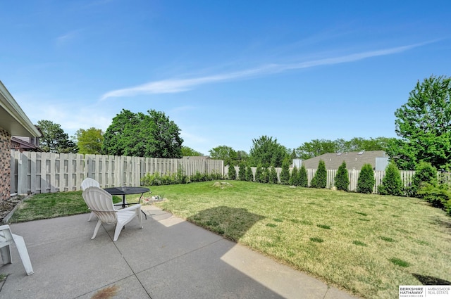 view of yard featuring a patio area