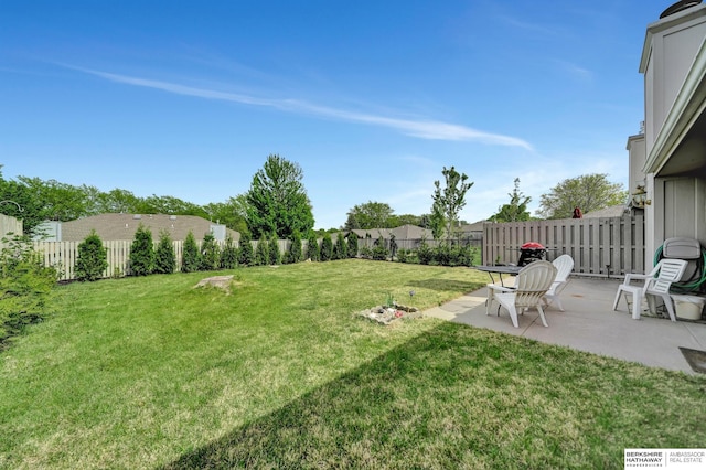 view of yard featuring a patio area