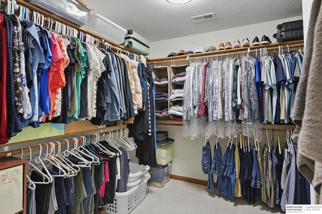 spacious closet featuring carpet floors