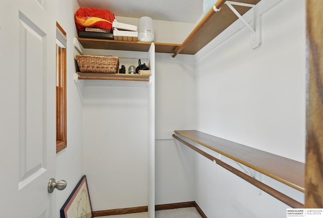 view of walk in closet