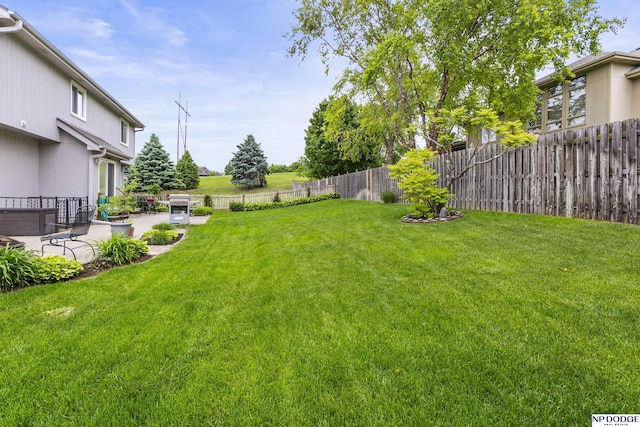 view of yard featuring a patio