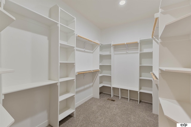 513 13th Ave, Plattsmouth, NE 68048 - walk in closet featuring carpet floors