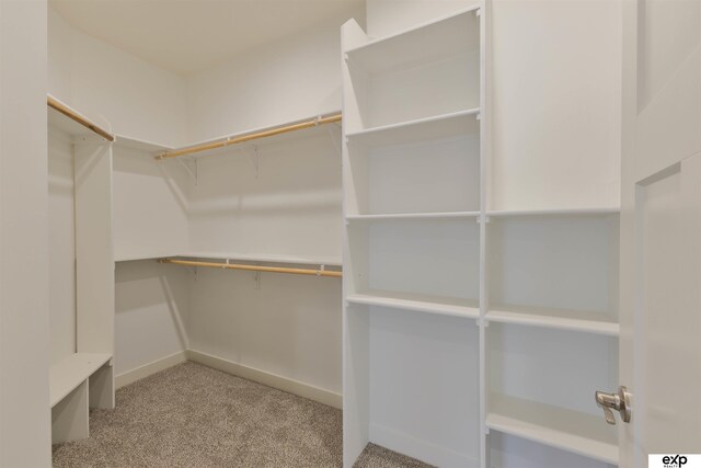 513 13th Ave, Plattsmouth, NE 68048 - walk in closet featuring carpet floors