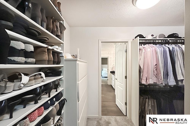 walk in closet featuring carpet flooring