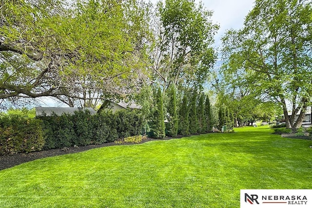view of green lawn