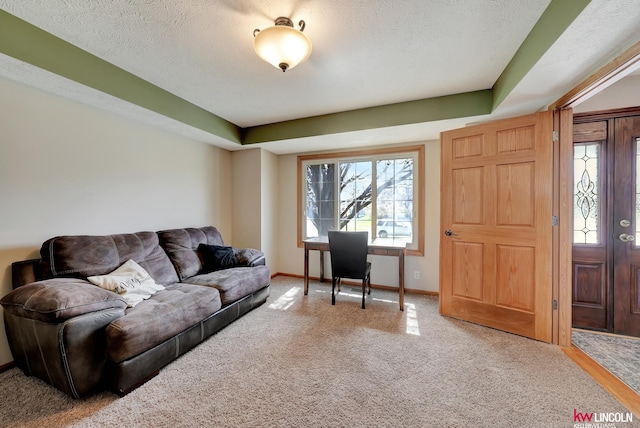 4630 Eagle Ridge Rd, Lincoln, NE 68516 - living area with carpet flooring, baseboards, and a textured ceiling