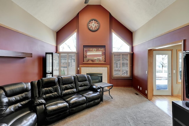 4630 Eagle Ridge Rd, Lincoln, NE 68516 - home theater room with lofted ceiling, a fireplace, carpet flooring, and healthy amount of natural light