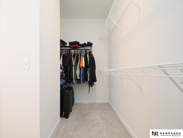 spacious closet featuring carpet flooring
