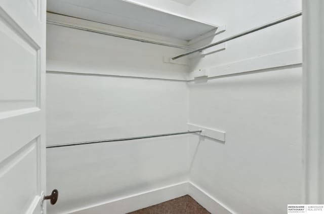 spacious closet with carpet floors