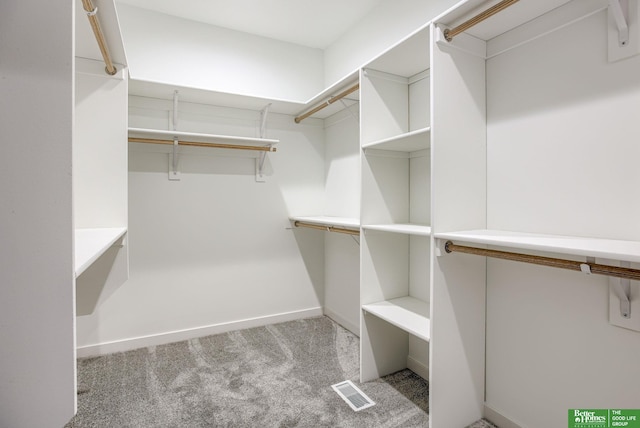 5705 N 197th St, Elkhorn, NE 68022 - spacious closet featuring carpet floors