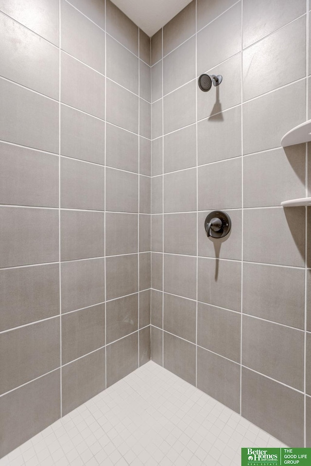5705 N 197th St, Elkhorn, NE 68022 - full bathroom with tiled shower