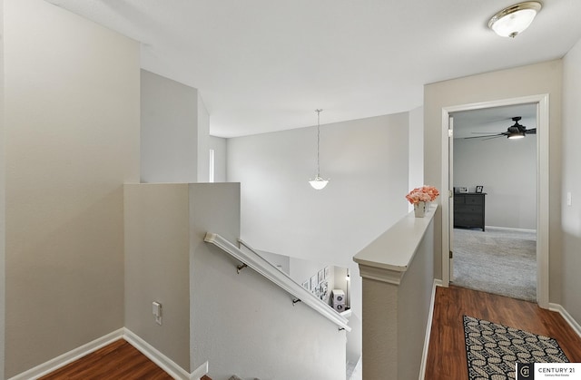 2421 Sand Hills Dr, Papillion, NE 68046 - hallway featuring an upstairs landing, dark wood finished floors, and baseboards