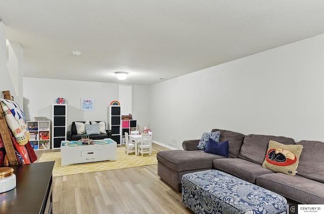 2421 Sand Hills Dr, Papillion, NE 68046 - living room with light wood-style floors