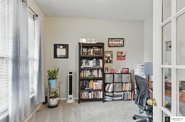 2421 Sand Hills Dr, Papillion, NE 68046 - office featuring carpet flooring and baseboards