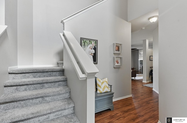 2421 Sand Hills Dr, Papillion, NE 68046 - stairs featuring wood finished floors and baseboards