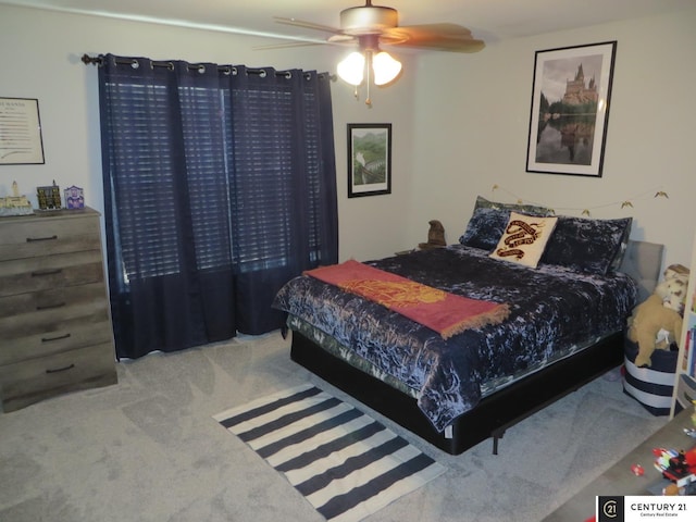 2421 Sand Hills Dr, Papillion, NE 68046 - bedroom with carpet floors